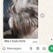 Insensível: Homem m*ta cachorra da ex-namorada e manda foto para ela no Amazonas