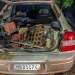 Dono de carro ligado à explosão em frente ao STF foi candidato pelo PL em Santa Catarina