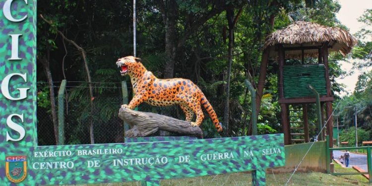 Governo Federal quer licitar floresta no Amazonas para iniciativa privada e inclui CIGS no projeto