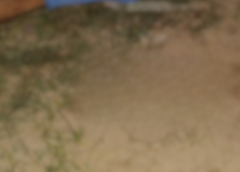 Homem é m0rt0 com estaca de madeira no campo da Rosa Mística, em Manacapuru