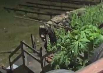 Por causa de uma corda, homem é j0gad0 de escadaria em Itacoatiara e fica todo fraturad0