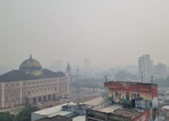 Governo Federal quer licitar floresta no Amazonas para iniciativa privada e inclui CIGS no projeto