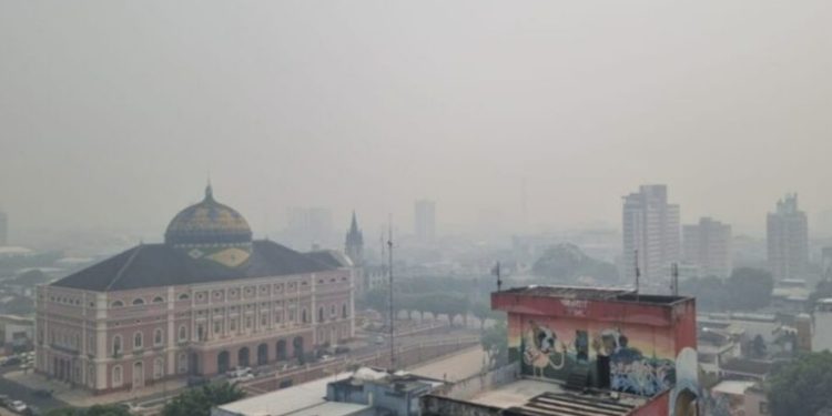 Governo Federal quer licitar floresta no Amazonas para iniciativa privada e inclui CIGS no projeto