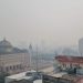 Governo Federal quer licitar floresta no Amazonas para iniciativa privada e inclui CIGS no projeto
