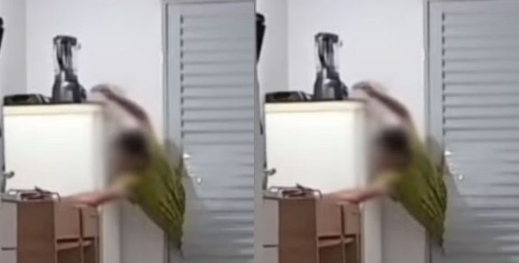 Vídeo: homem fica preso na porta da casa da ex ao tentar reatar relação