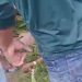 Vídeo mostra como ficou cabeça de homem atingido por árvore no Amazonas