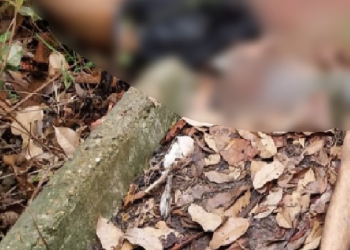 Veja: Dois c0rp0s bal3ados são encontrados em ramal na Zona Leste de Manaus