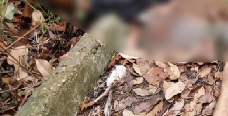 Veja: Dois c0rp0s bal3ados são encontrados em ramal na Zona Leste de Manaus