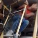 Vídeo: passageiros expulsam venezuelana barraqueira de ônibus na ZL