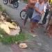 Vídeo: Amarrado, homem é abandonado em rua na Zona Oeste de Manaus após ser ex3cutad0