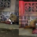 Na esquina de colégio particular no Centro de Manaus, homem é m0rt0 a tiros