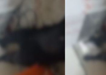 Vídeo forte: proprietário é m0rto dentro do açougue em Manaus