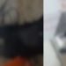 Vídeo forte: proprietário é m0rto dentro do açougue em Manaus