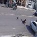 Vídeo: carro atravessa na frente da moto e joga mulher no asfalto em Manaus