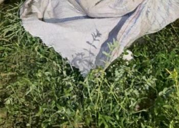 Moradores do Novo Aleixo acham c0rp0 de adolescente e$quartej@d0; imagem forte