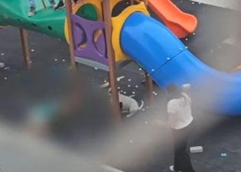 Vídeo mostra ataque de pitbulls em parquinho que deixou dois menores ferid0s