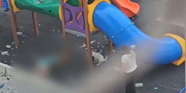 Vídeo mostra ataque de pitbulls em parquinho que deixou dois menores ferid0s