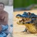 Vídeo forte: Homem fica com a coxa fer1da após ser mordido por jacaré no interior do Amazonas
