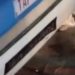 Garupa e motociclista ficam fer1d0s após col1direm contra ônibus por conta de fio caído em Manaus; VÍDEO