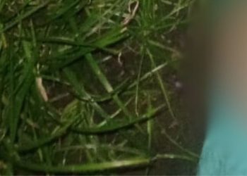 Caminhando, homem é execut@d0 após ser abordado por dupla de moto em Manaus; vídeo forte