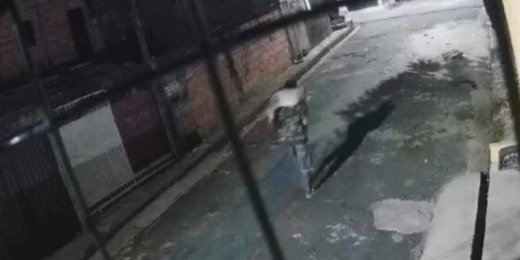 Vídeo flagra homem que 'torou' a cabeça e as patas de cachorro em Manaus