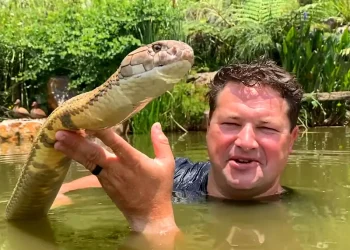 Youtuber que fazia vídeos com serpentes é mordido e após um mês em coma não resiste