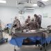 Hospital 28 de Agosto e Instituto Dona Lindu segue atendendo normalmente