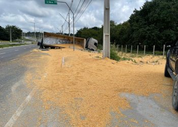 Na curva do Rapidão, caminhão que transportava milho tomba