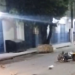 Veja: ‘Orelha’ perde o rumo em avenida em Maués e s0fr3 gr@ve ac1d3nt3