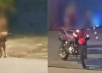 Vídeo: homem casado leva amante para motel na moto da esposa e GPS entrega localização 
