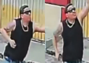 Vídeo: Marmanjo é flagrado jogando catolé em casa e quase at1ngindo cachorro em Manaus