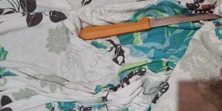 Mãe deixa filha de 3 anos com a irmã e encontra menina com 20 facad@s ao voltar para casa