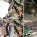 Vídeo: fet0 é jogado no lixo e causa revolta em Manaus