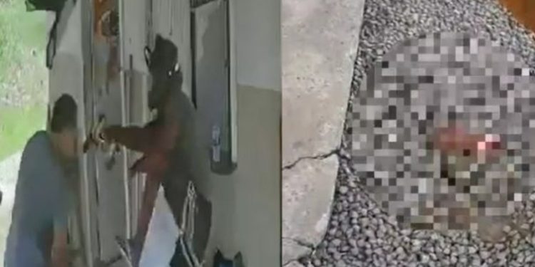 Vídeos: bandido perde a mão após ser surpreendido por vítima: ‘decepad0 com sucesso’