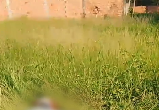 Vídeo: Motociclista é encontrado m0rt0 em área de mata na Zona Norte de Manaus
