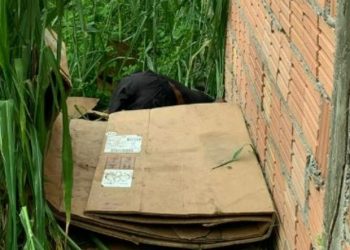 Vídeo forte: “Neguinho da Redenção” é m0rto com c0rte profundo no peito