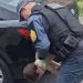 PM atende chamado de pai e salva a vida do filho dele que se engasg0u em Manaus