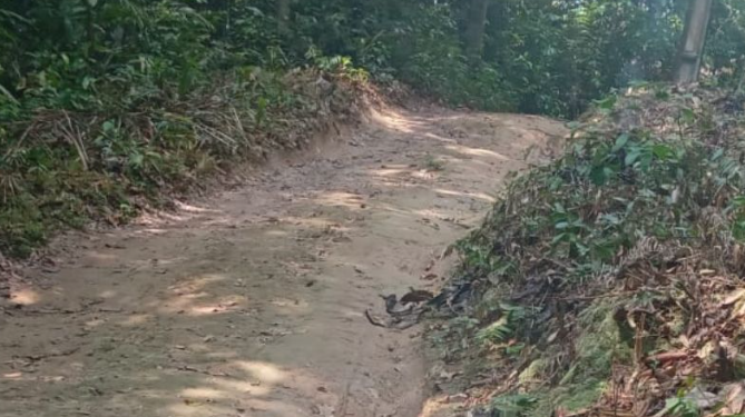 Vídeo: Homem m0rre após colisão com poste e choque elétrico na AM-010