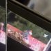 SSP afasta 13 após vídeo de policial jogando homem de cima da ponte 
