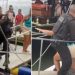 Vídeo: talarica leva “voadora” na costela ao ser pega no amasso com “velho da lancha”