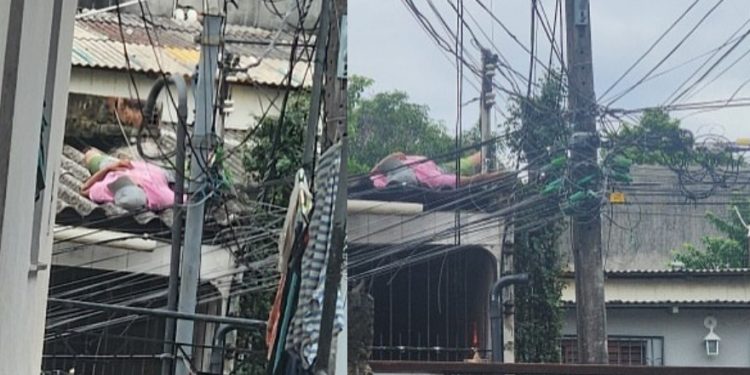 Homem puxa ronco no telhado em Manaus e vizinha fofoqueira pergunta se ele “virou gato”