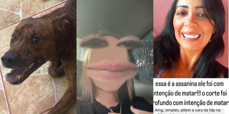 Vídeo: Mulher é acusada pela sobrinha de e$faqu3ar cachorro com uma peixeira até a m0rt2 no AM