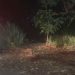 Homem tem cabeça esm4gad4 após ser torturado até a m0rt3 em Manaus