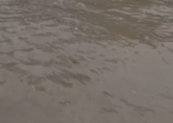 Vídeo mostra corpo boiando no rio onde há garimpo ilegal no Amazonas; veja