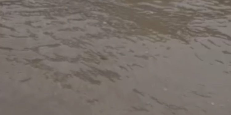 Vídeo mostra corpo boiando no rio onde há garimpo ilegal no Amazonas; veja