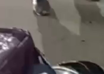 Dupla de assalt4nt3s é m0rt4 ´por 'justiceiro na zona norte de Manaus; vídeo