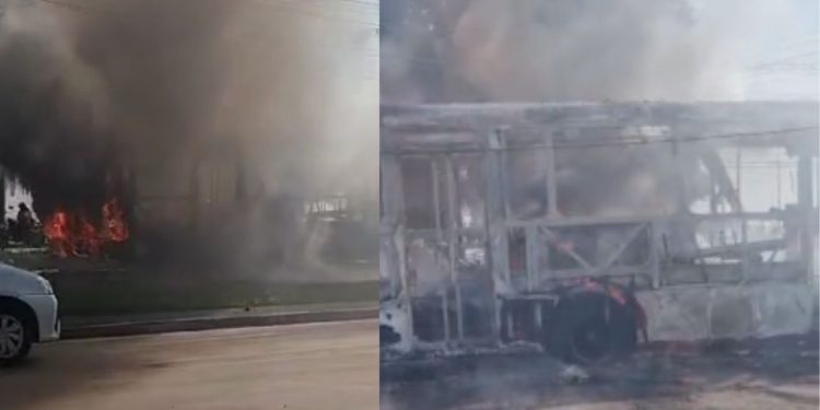 Linha 059 é consumida pelo fogo enquanto trafegava na avenida Torquato Tapajós