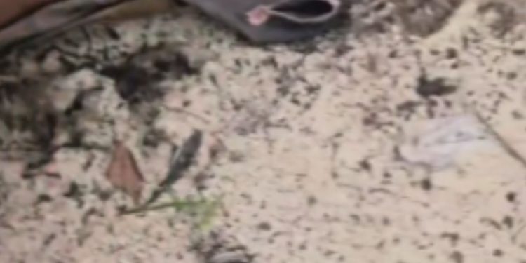 PMs ajudam indígena de 13 anos que entrou em trabalho de parto no interior do Amazonas; vídeo