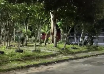 C3na f0rt3: Homem m0rr3 após ser pers3guid0 por grupo no bairro Cidade Nova