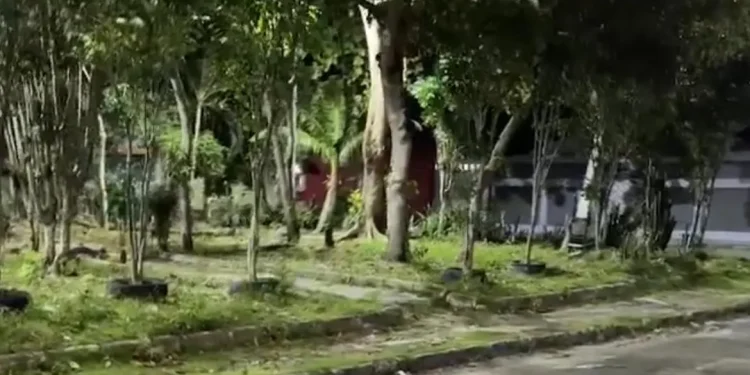 C3na f0rt3: Homem m0rr3 após ser pers3guid0 por grupo no bairro Cidade Nova